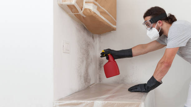 Professional Commercial Mold Remediation technician working in Palisades Park, NJ