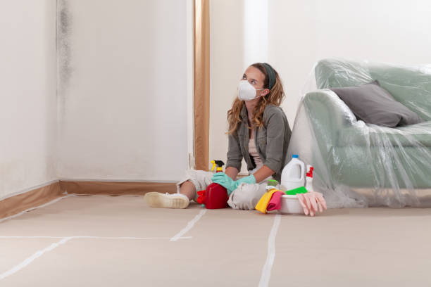 Reliable Commercial Mold Remediation contractor in Palisades Park, NJ by WQB Mold Removal